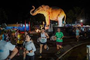 BIB: 
                            <button type="button" onclick="openModal(26552282)" class="btn btn-primary btn-sm float-right btn-popup" data-toggle="modal" data-target=".modal-high-quality">
                        <i class="fas fa-shopping-cart"></i> Add to Cart
                    </button>
                                            <button type="button" onclick="isThisMe(26552282, true)" class="btn btn-success btn-sm float-right btn-popup btn-isme hidden" data-toggle="tooltip" data-placement="bottom" title="นี่คือรูปของคุณใช่ไหม คลิกที่นี่เพื่อเอาเข้าอัลบั้ม">
                        <i class="fas fa-plus"></i> Add to album
                    </button>
                    <button type="button" onclick="isThisMe(26552282, false)" class="btn btn-warning btn-sm float-right btn-popup btn-isnotme hidden">
                        <i class="fas fa-ban"></i> Remove from album
                    </button>